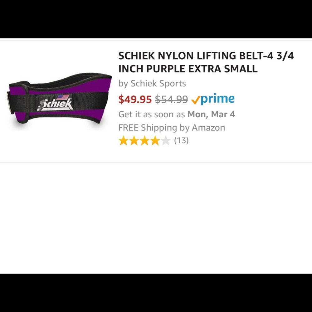 NWT Schiek lifting belt
